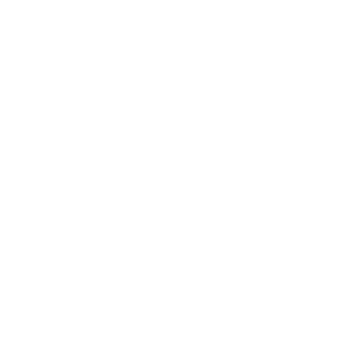 Blumen Logo Blumenmaedchen verteilt Blumen in Senden